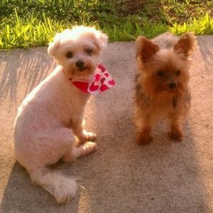 Meet your Posher, Daniela